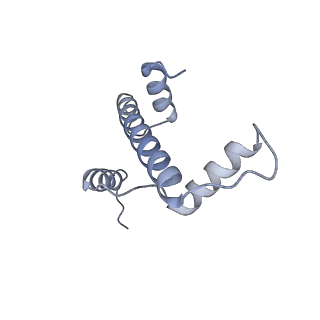 29845_8g8b_A_v1-3
Nucleosome with human nMatn1 sequence in complex with Human Oct4