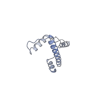 29845_8g8b_E_v1-3
Nucleosome with human nMatn1 sequence in complex with Human Oct4