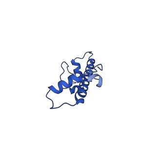 29850_8g8g_C_v1-4
Interaction of H3 tail in LIN28B nucleosome with Oct4