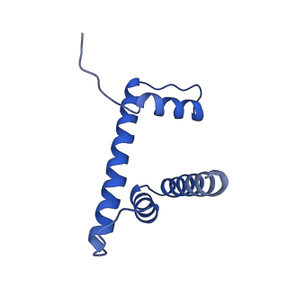 29850_8g8g_D_v1-4
Interaction of H3 tail in LIN28B nucleosome with Oct4