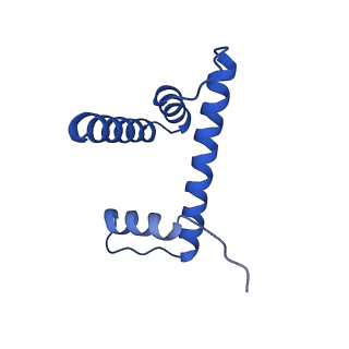 29850_8g8g_H_v1-4
Interaction of H3 tail in LIN28B nucleosome with Oct4