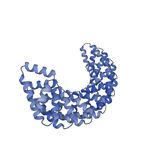 29856_8g8i_B_v1-2
C3HR3_9r_shift4: Extendable repeat protein fiber