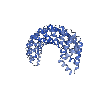 29856_8g8i_E_v1-2
C3HR3_9r_shift4: Extendable repeat protein fiber