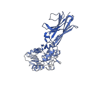 29857_8g8w_B_v1-0
Molecular mechanism of nucleotide inhibition of human uncoupling protein 1