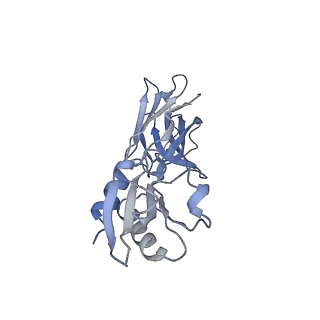 29857_8g8w_C_v1-0
Molecular mechanism of nucleotide inhibition of human uncoupling protein 1