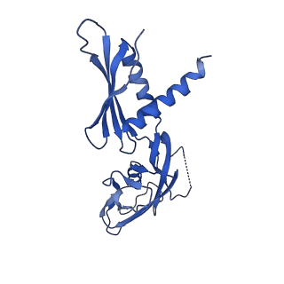29859_8g8z_G_v1-1
Cryo-EM structure of 3DVA component 1 of Escherichia coli que-PEC (paused elongation complex) RNA Polymerase plus preQ1 ligand