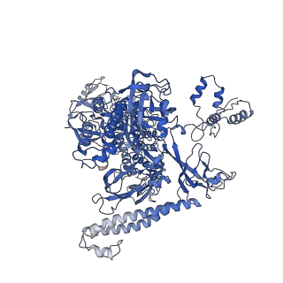 29859_8g8z_I_v1-1
Cryo-EM structure of 3DVA component 1 of Escherichia coli que-PEC (paused elongation complex) RNA Polymerase plus preQ1 ligand