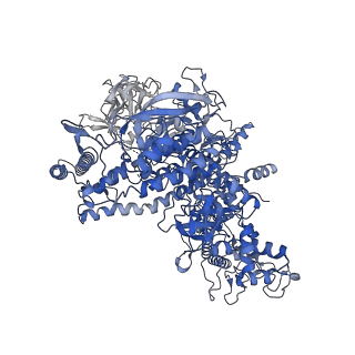 29859_8g8z_J_v1-1
Cryo-EM structure of 3DVA component 1 of Escherichia coli que-PEC (paused elongation complex) RNA Polymerase plus preQ1 ligand