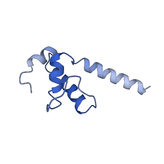 29859_8g8z_K_v1-1
Cryo-EM structure of 3DVA component 1 of Escherichia coli que-PEC (paused elongation complex) RNA Polymerase plus preQ1 ligand