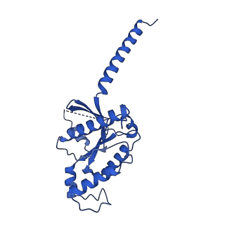 29861_8g94_B_v1-1
Structure of CD69-bound S1PR1 coupled to heterotrimeric Gi