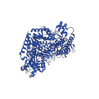 29862_8g99_A_v1-1
Partial auto-inhibitory complex of Xenopus laevis DNA polymerase alpha-primase