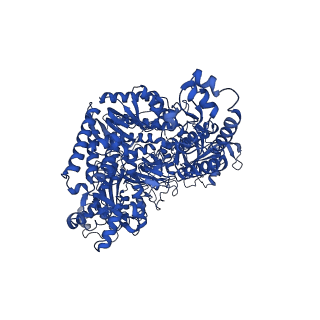 29862_8g99_A_v1-3
Partial auto-inhibitory complex of Xenopus laevis DNA polymerase alpha-primase