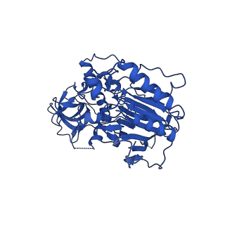 29862_8g99_B_v1-1
Partial auto-inhibitory complex of Xenopus laevis DNA polymerase alpha-primase