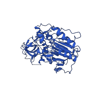 29862_8g99_B_v1-3
Partial auto-inhibitory complex of Xenopus laevis DNA polymerase alpha-primase