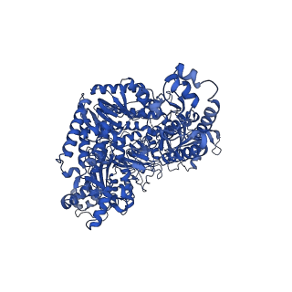 29864_8g9f_A_v1-1
Complete auto-inhibitory complex of Xenopus laevis DNA polymerase alpha-primase
