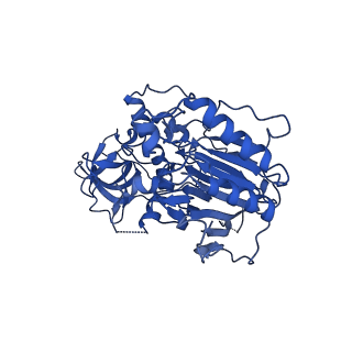 29864_8g9f_B_v1-1
Complete auto-inhibitory complex of Xenopus laevis DNA polymerase alpha-primase