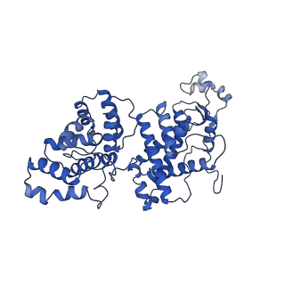 29864_8g9f_C_v1-1
Complete auto-inhibitory complex of Xenopus laevis DNA polymerase alpha-primase