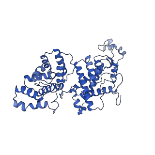 29864_8g9f_C_v1-3
Complete auto-inhibitory complex of Xenopus laevis DNA polymerase alpha-primase