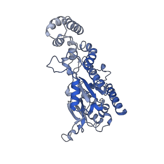 29864_8g9f_D_v1-1
Complete auto-inhibitory complex of Xenopus laevis DNA polymerase alpha-primase