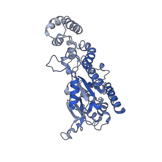 29864_8g9f_D_v1-3
Complete auto-inhibitory complex of Xenopus laevis DNA polymerase alpha-primase