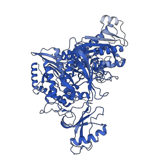 29871_8g9l_A_v1-1
DNA initiation subcomplex of Xenopus laevis DNA polymerase alpha-primase