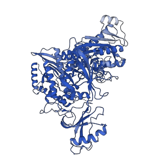 29871_8g9l_A_v1-3
DNA initiation subcomplex of Xenopus laevis DNA polymerase alpha-primase