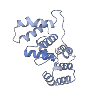 29871_8g9l_B_v1-1
DNA initiation subcomplex of Xenopus laevis DNA polymerase alpha-primase