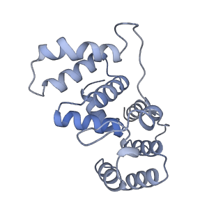 29871_8g9l_B_v1-3
DNA initiation subcomplex of Xenopus laevis DNA polymerase alpha-primase