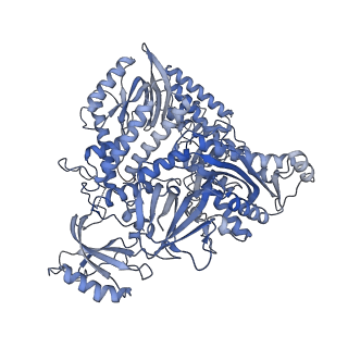 29872_8g9n_A_v1-1
Partial DNA elongation subcomplex of Xenopus laevis DNA polymerase alpha-primase
