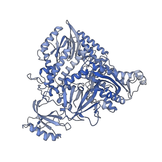 29872_8g9n_A_v1-3
Partial DNA elongation subcomplex of Xenopus laevis DNA polymerase alpha-primase