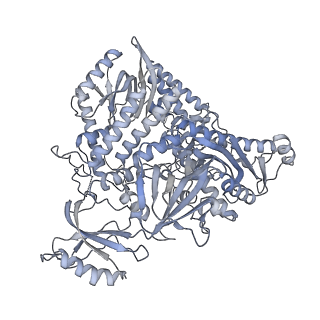29873_8g9o_A_v1-0
Complete DNA elongation subcomplex of Xenopus laevis DNA polymerase alpha-primase