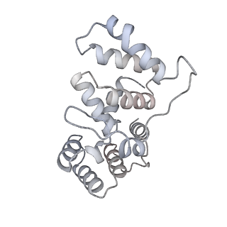 29873_8g9o_B_v1-2
Complete DNA elongation subcomplex of Xenopus laevis DNA polymerase alpha-primase