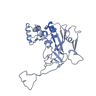 29877_8g9s_E_v1-0
Exploiting Activation and Inactivation Mechanisms in Type I-C CRISPR-Cas3 for Genome Editing Applications