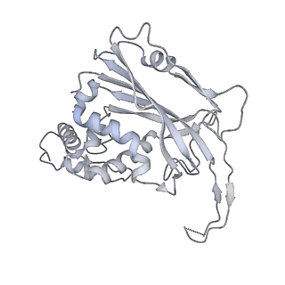 29877_8g9s_G_v1-0
Exploiting Activation and Inactivation Mechanisms in Type I-C CRISPR-Cas3 for Genome Editing Applications