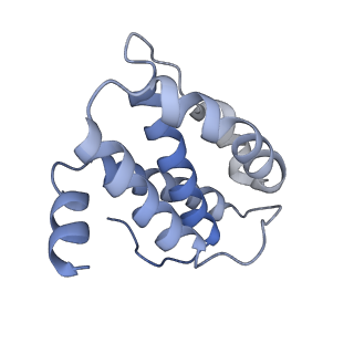 29877_8g9s_J_v1-0
Exploiting Activation and Inactivation Mechanisms in Type I-C CRISPR-Cas3 for Genome Editing Applications