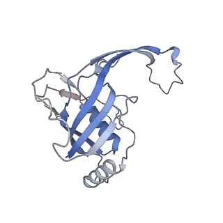 29877_8g9s_N_v1-0
Exploiting Activation and Inactivation Mechanisms in Type I-C CRISPR-Cas3 for Genome Editing Applications