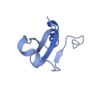 29878_8g9t_A_v1-0
Exploiting Activation and Inactivation Mechanisms in Type I-C CRISPR-Cas3 for Genome Editing Applications