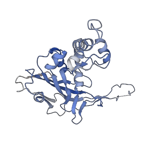 29878_8g9t_C_v1-0
Exploiting Activation and Inactivation Mechanisms in Type I-C CRISPR-Cas3 for Genome Editing Applications