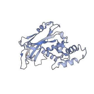 29878_8g9t_F_v1-0
Exploiting Activation and Inactivation Mechanisms in Type I-C CRISPR-Cas3 for Genome Editing Applications