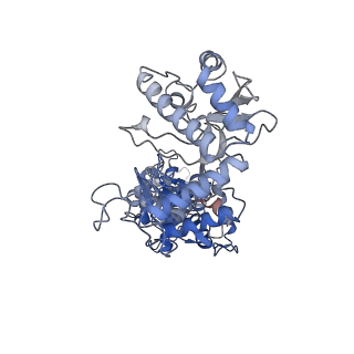 29878_8g9t_K_v1-0
Exploiting Activation and Inactivation Mechanisms in Type I-C CRISPR-Cas3 for Genome Editing Applications