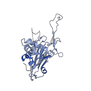 29878_8g9t_M_v1-0
Exploiting Activation and Inactivation Mechanisms in Type I-C CRISPR-Cas3 for Genome Editing Applications