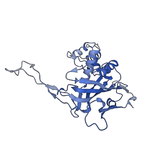 29879_8g9u_A_v1-0
Exploiting Activation and Inactivation Mechanisms in Type I-C CRISPR-Cas3 for Genome Editing Applications