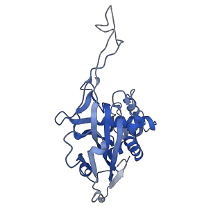 29879_8g9u_B_v1-0
Exploiting Activation and Inactivation Mechanisms in Type I-C CRISPR-Cas3 for Genome Editing Applications