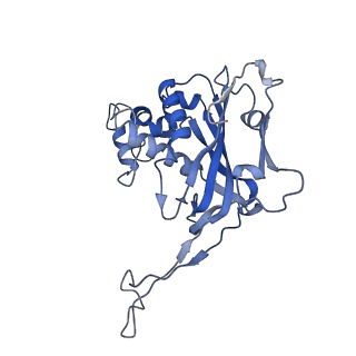 29879_8g9u_E_v1-0
Exploiting Activation and Inactivation Mechanisms in Type I-C CRISPR-Cas3 for Genome Editing Applications