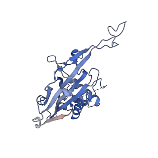 29879_8g9u_M_v1-0
Exploiting Activation and Inactivation Mechanisms in Type I-C CRISPR-Cas3 for Genome Editing Applications