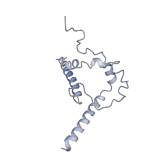 29880_8g9w_B_v1-2
Cryo-EM structure of vFP49.02 Fab in complex with HIV-1 Env BG505 DS-SOSIP.664 (conformation 1)