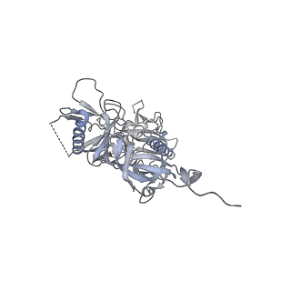 29880_8g9w_P_v1-2
Cryo-EM structure of vFP49.02 Fab in complex with HIV-1 Env BG505 DS-SOSIP.664 (conformation 1)
