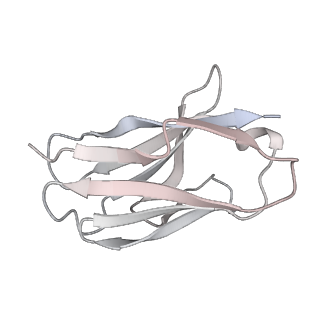 29881_8g9x_L_v1-2
Cryo-EM structure of vFP49.02 Fab in complex with HIV-1 Env BG505 DS-SOSIP.664 (conformation 2)