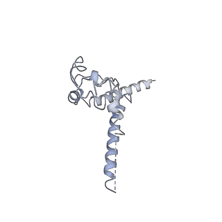 29881_8g9x_O_v1-2
Cryo-EM structure of vFP49.02 Fab in complex with HIV-1 Env BG505 DS-SOSIP.664 (conformation 2)