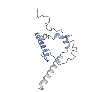 29882_8g9y_B_v1-2
Cryo-EM structure of vFP49.02 Fab in complex with HIV-1 Env BG505 DS-SOSIP.664 (conformation 3)